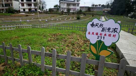 劳动空镜刨土锄地农场工人耕作劳作翻土