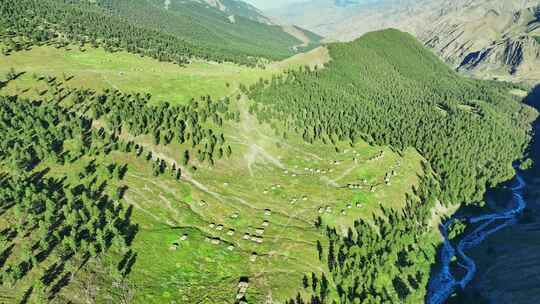 航拍新疆东天山原始森林高山草原风光