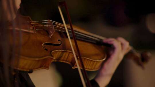 小提琴演奏会现场视频素材模板下载