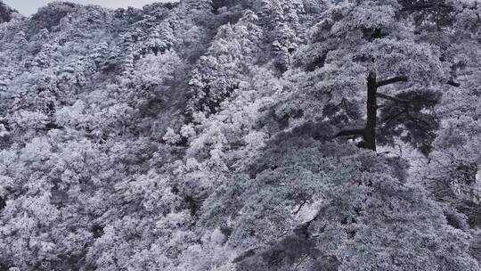 安徽黄山雪景