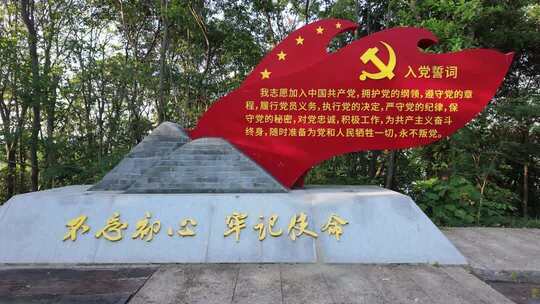 入党宣誓党建红色旗帜