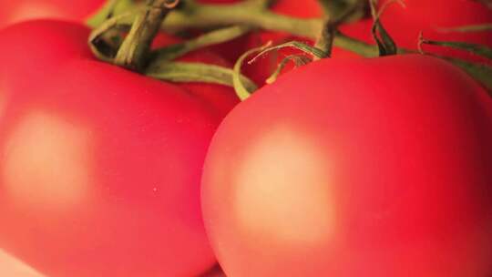 摇摄明亮旋转着的红色西红柿