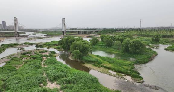 洛阳伊河伊滨区开拓桥自然绿色生态风光休闲