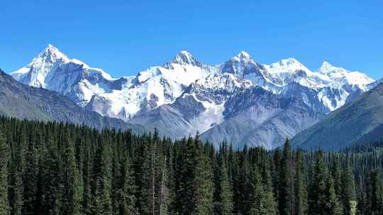 新疆昭苏夏塔雪山