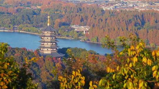 杭州雷峰塔秋天风景