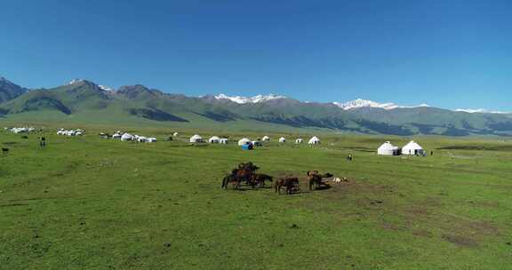 4K航拍新疆草原上蒙古包
