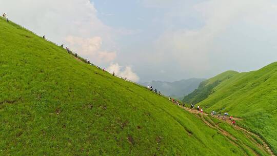 武功山高山草甸