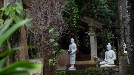 泰国清迈曼谷寺庙树林森林高山佛像