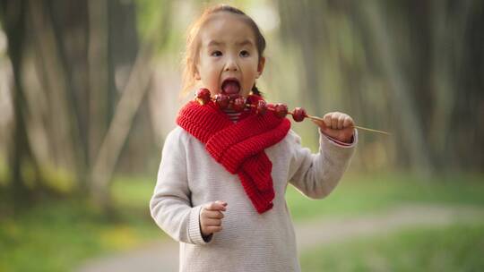 小女孩毛衣红围脖公园里吃糖葫芦新年快乐