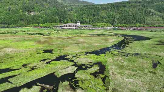 云南保山市腾冲北海湿地自然风光航拍