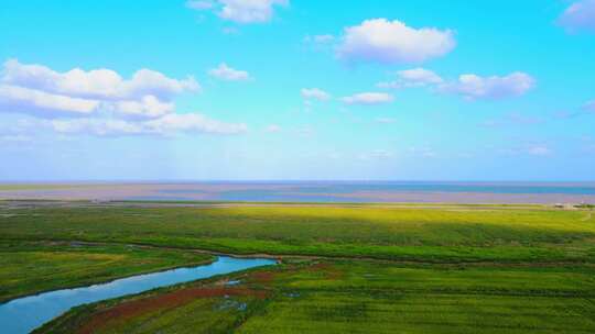 上海滴水湖海边航拍