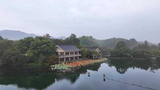 意境杭州西湖水面残荷秋荷