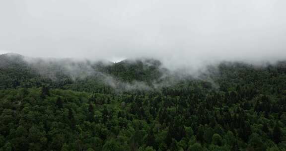 山，偏远，农村，森林树木