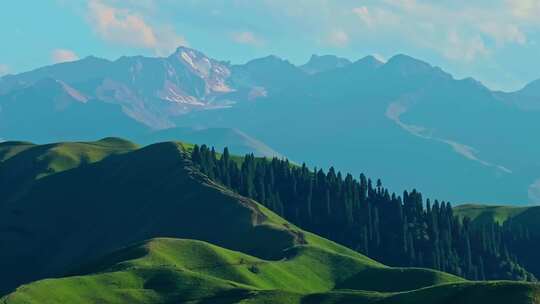 夏天的草原森林美景