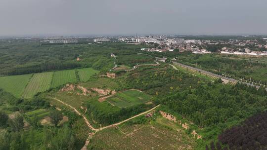 鸟瞰田园诗般的绿色夏季农田农作物牧场