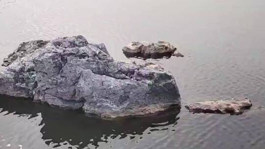 湖上孤独的礁石