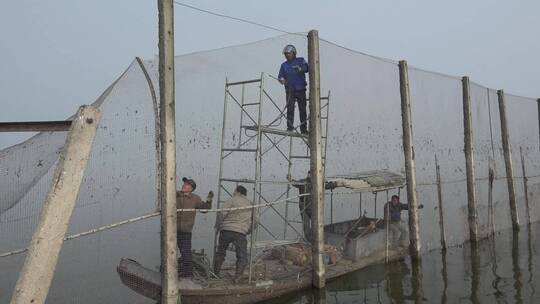 南方水乡退围还湖作业现场视频素材模板下载