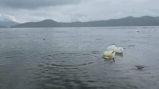 雨中的泸沽湖水性杨花