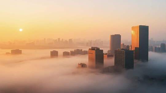 城市高楼云海日出景象