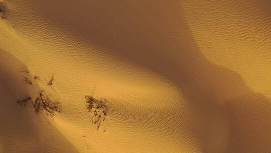 新疆沙丘沙漠视频素材模板下载