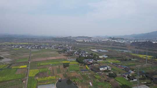 美丽乡村农业种植油菜花农田航拍