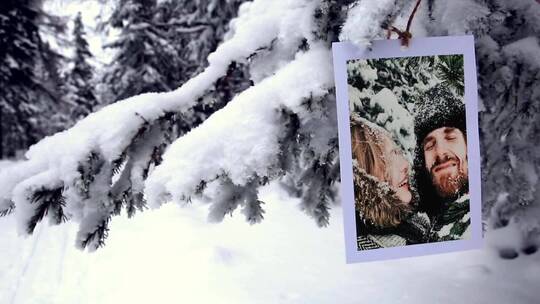 唯美浪漫冬季森林相册写真片场AE模板