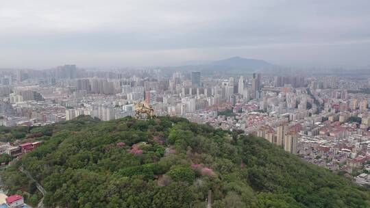 泉州郑成功雕像航拍丰泽区大坪山看市区阴天