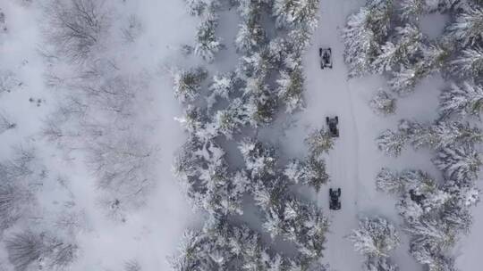 驾车穿过白雪覆盖的森林