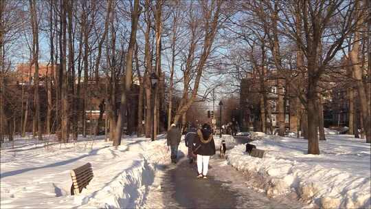 特写带着宠物狗在雪地里散步的男人