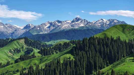 新疆恰西唯美震撼森林雪山航拍8