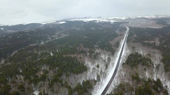 原创 日本北海道阿寒湖冬季森林公路风光