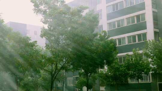 瓢泼大雨大暴雨