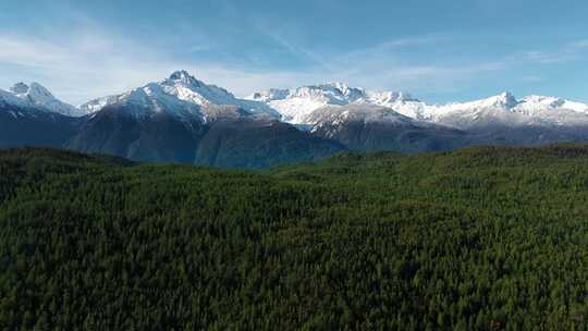 森林雪山山脉的鸟瞰图