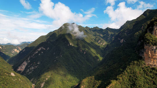 大巴山 高山峡谷 溪流