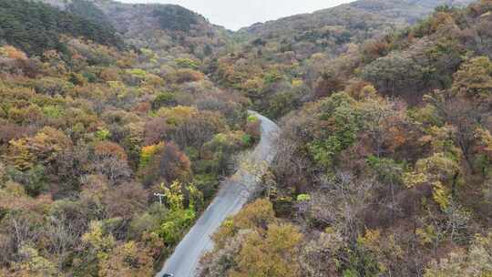 秋天大山公里航拍