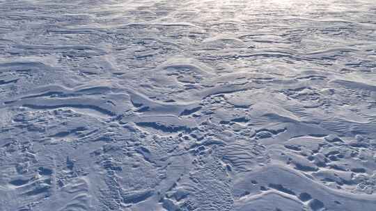 呼伦贝尔草原冬季风吹雪视频素材模板下载