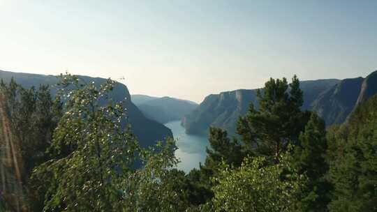 挪威，峡湾，悬崖，树木