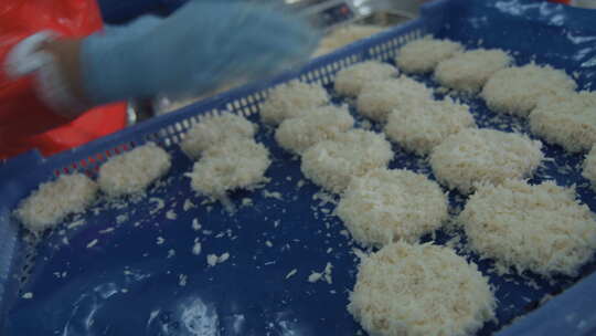 海参加工生产线工人在流水线上处理海鲜制品