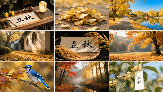 【合集】立秋秋天秋分唯美风景空境