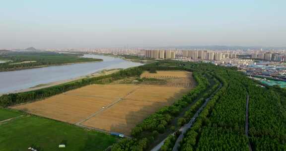 黄河湿地航拍