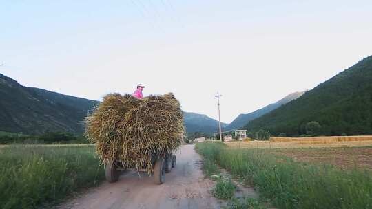 粮食丰收拖拉机路上拉货