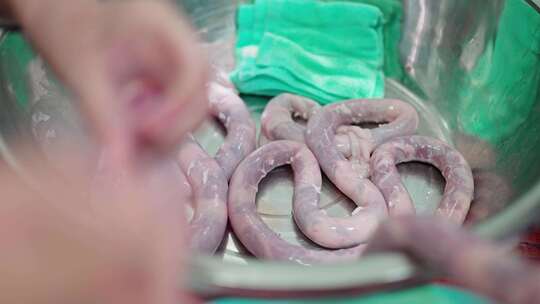 农村制作腊肉香肠熏烤腊肉香肠特色美食