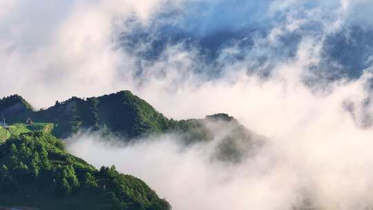 航拍高山草原森林树林云海云雾仙境唯美