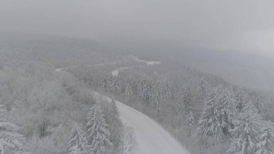 冬季长白山原始森林厚厚积雪震撼大气雪景