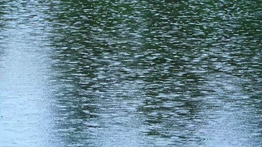 夏季阴雨天气池塘雨滴水面水花特写