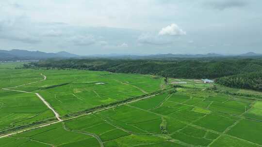 美丽乡村航拍田园风光绿色农村鸟瞰田野风景