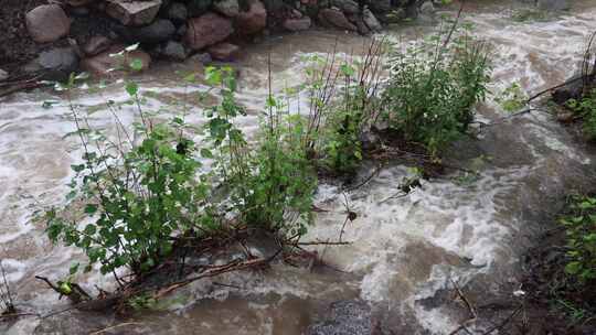 【合集】实拍暴雨后洪水 山洪  泥石流