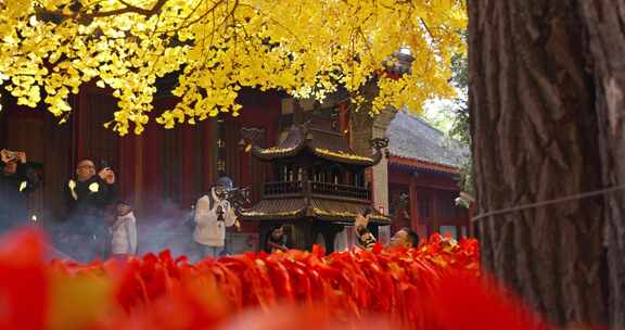 北京红螺寺秋天银杏飘落