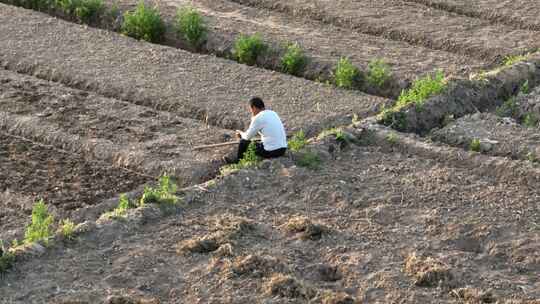 航拍男性农民在田间土地休息