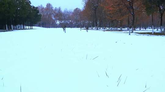 西安大明宫遗址公园大雪雪景视频素材模板下载